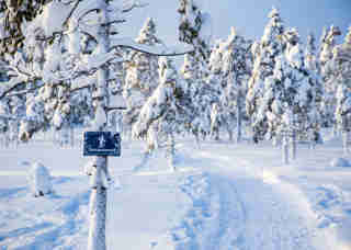 Vinterlandskap Orsa Grönklitt, på ett av träden finns en skylt med ordet vinterpromenad på