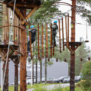 Två personer med blå hjälmar och sele balanserar på ett hinder av hängande trästeg i en höghöjdsbana bland tallar. Marken och en parkering syns i bakgrunden.