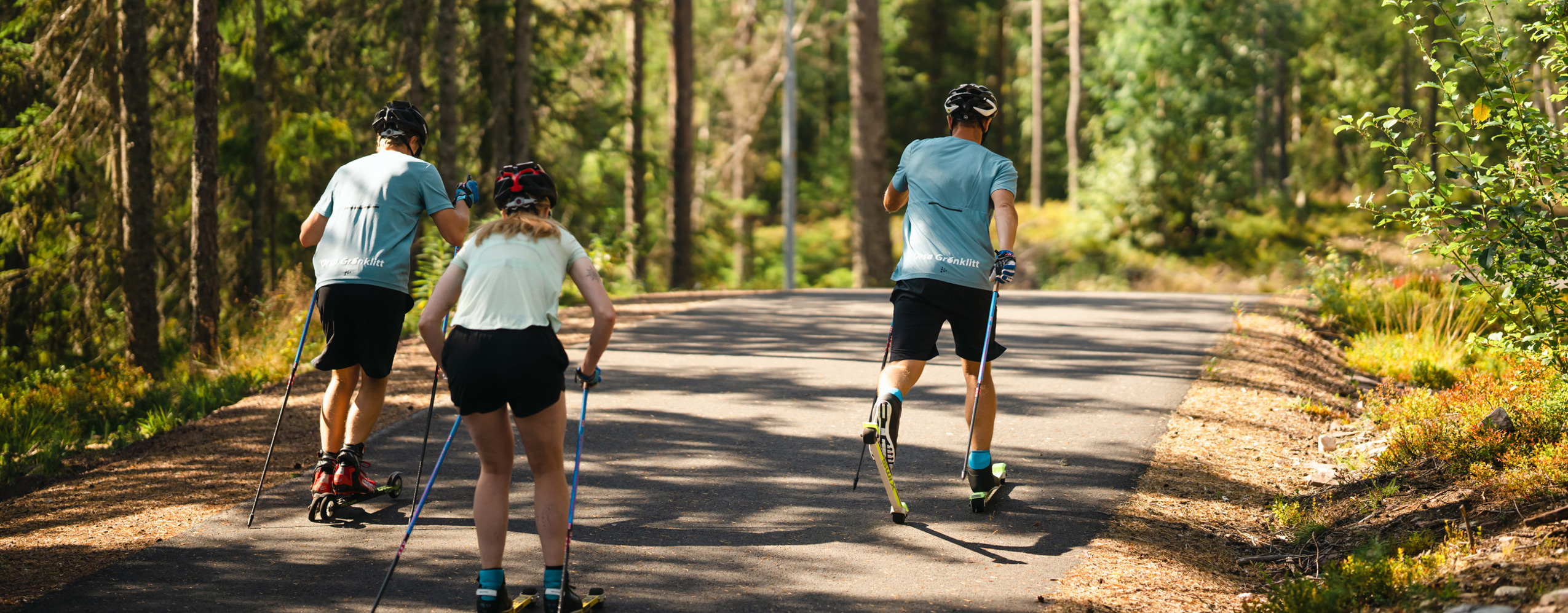 Three people roller skiing uphill on a paved road through lush green forest in summer warmth.