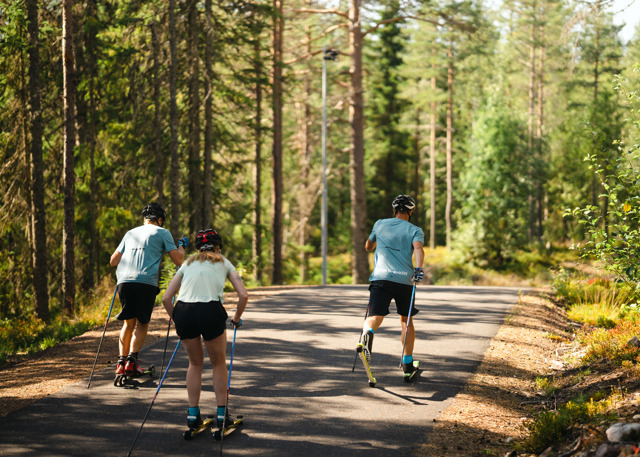 Tre personer åker rullskidor uppför en asfalterad väg genom grönskande skog i sommarvärme.