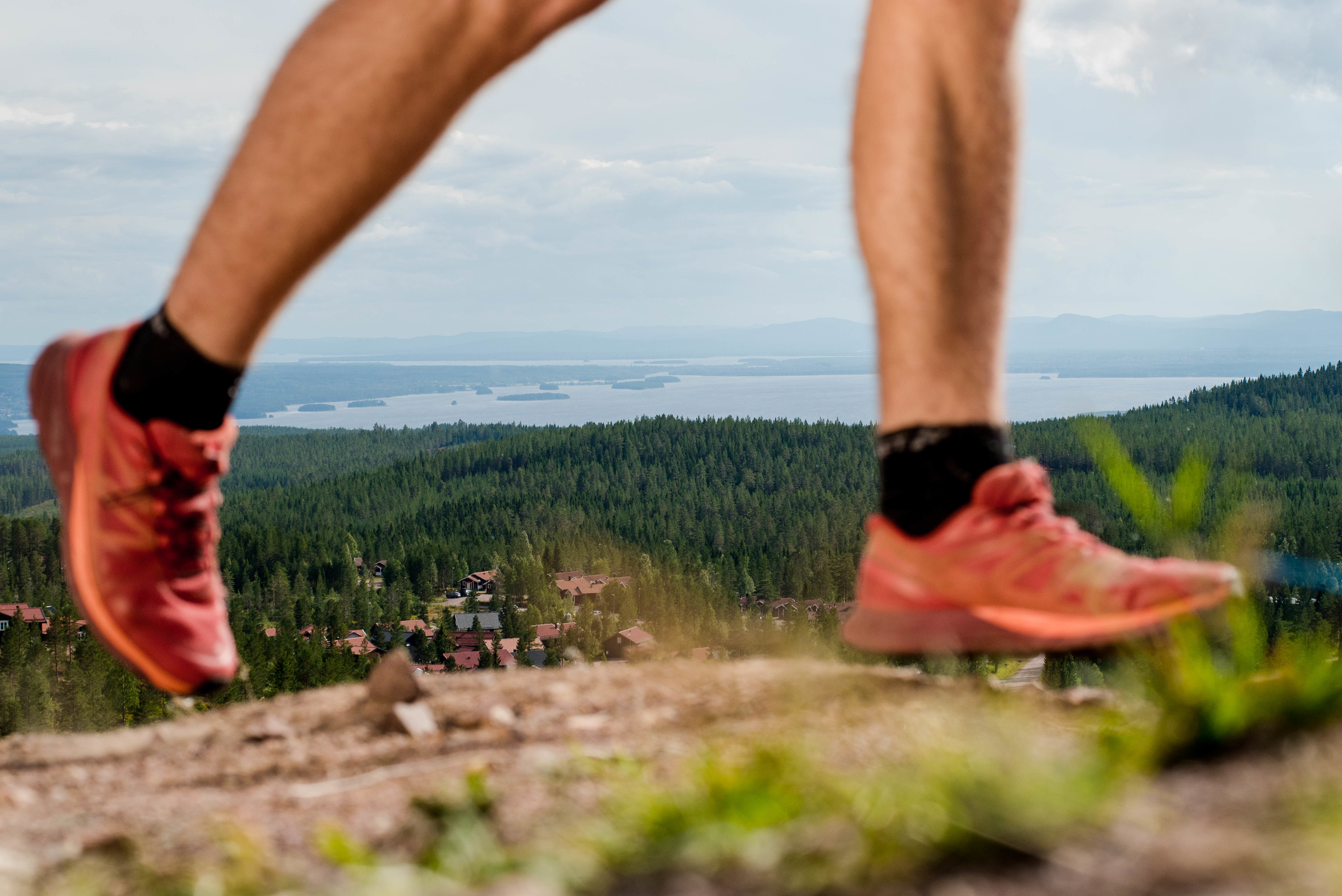 Närbild på löpare med utsikt över skogar och en sjö i bakgrunden.