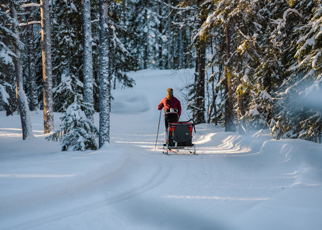 Person åker längdskidor i snöig skog och drar en pulka i preparerat spår.