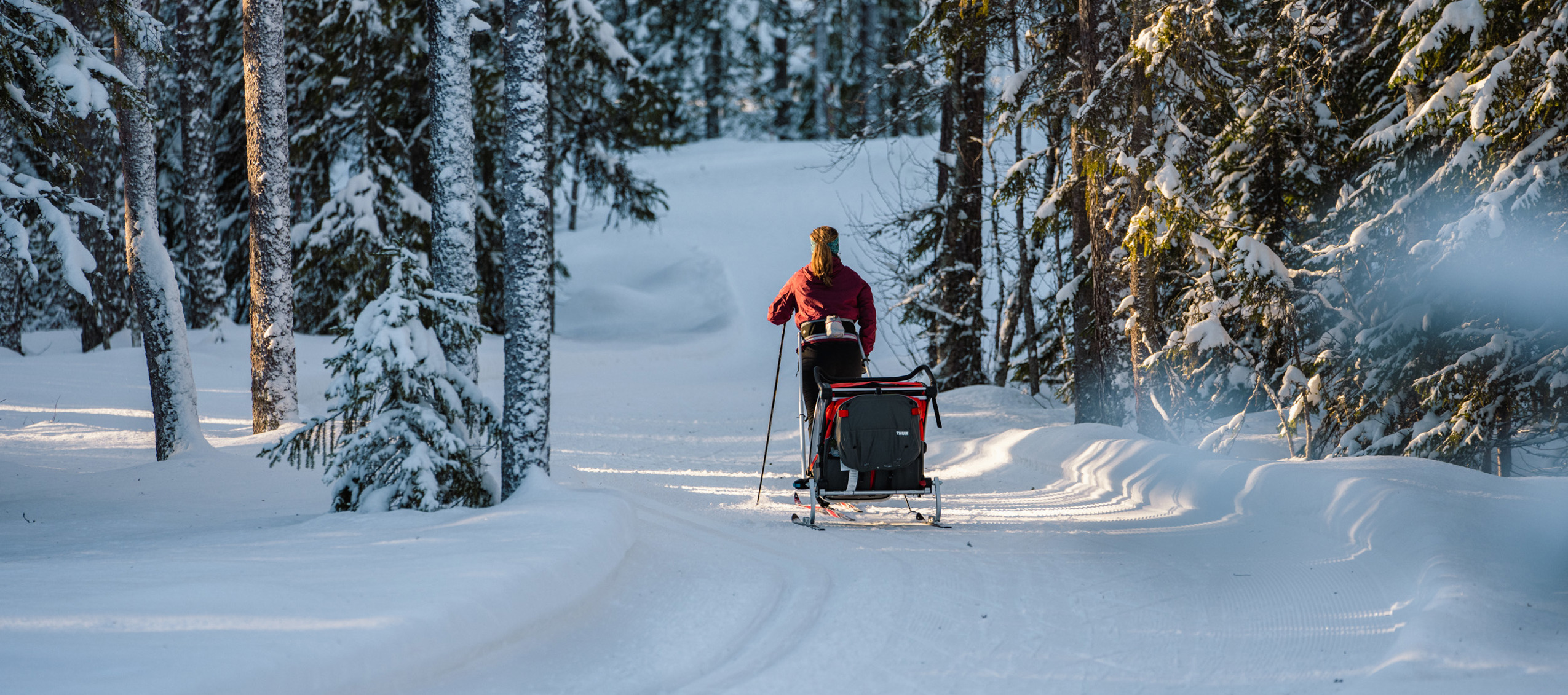 Person cross-country skiing through snowy forest, pulling a sled on groomed tracks.