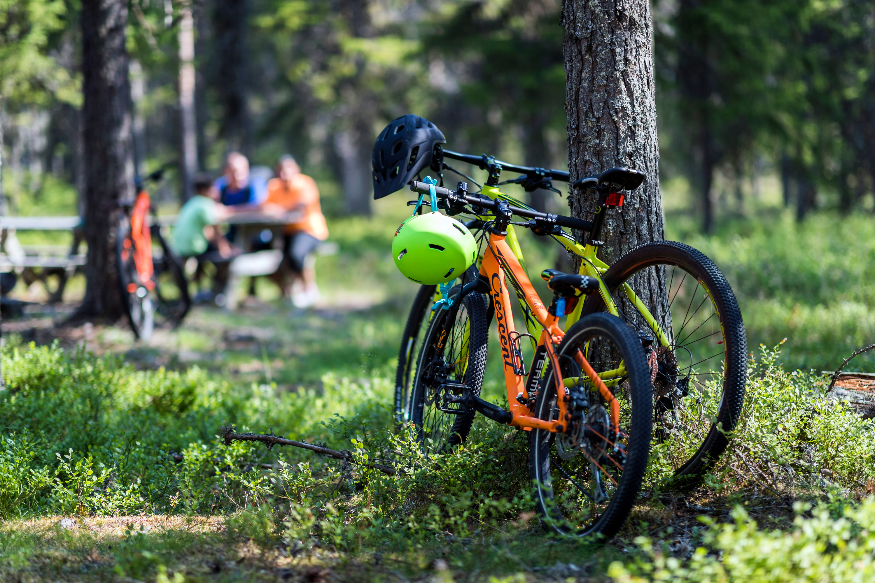 Två terrängcyklar står lutade mot ett träd i skogen, personer sitter vid ett picknickbord i bakgrunden.