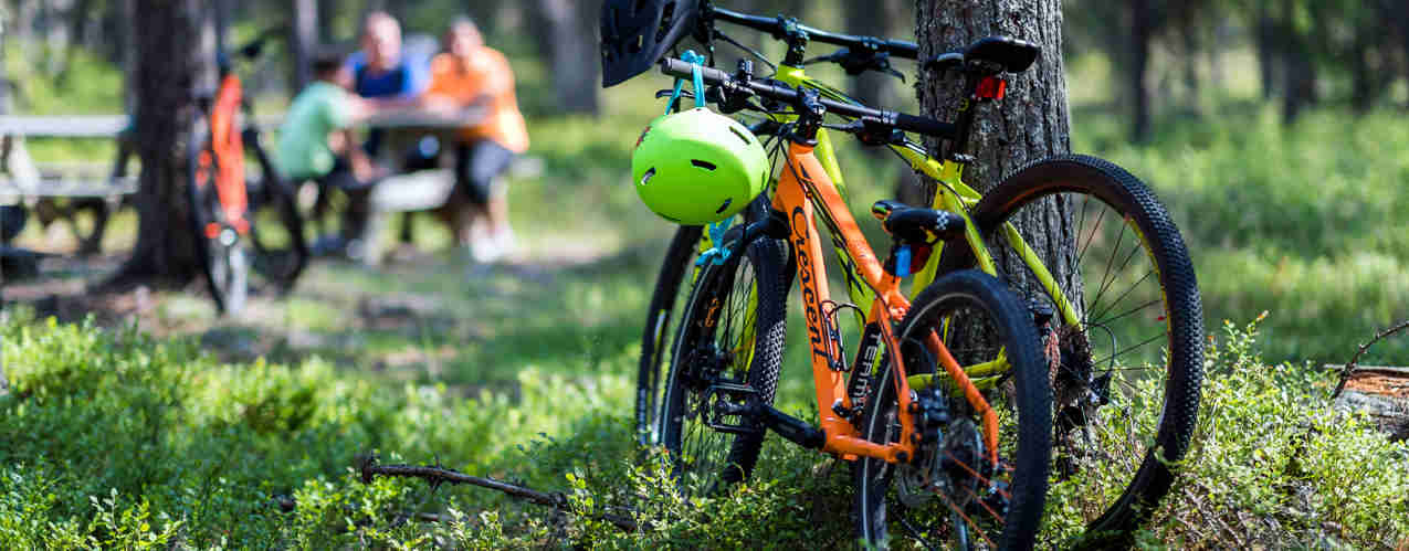 MTB cyklar stående vid träd där familj fikar, i Orsa Grönklitt!