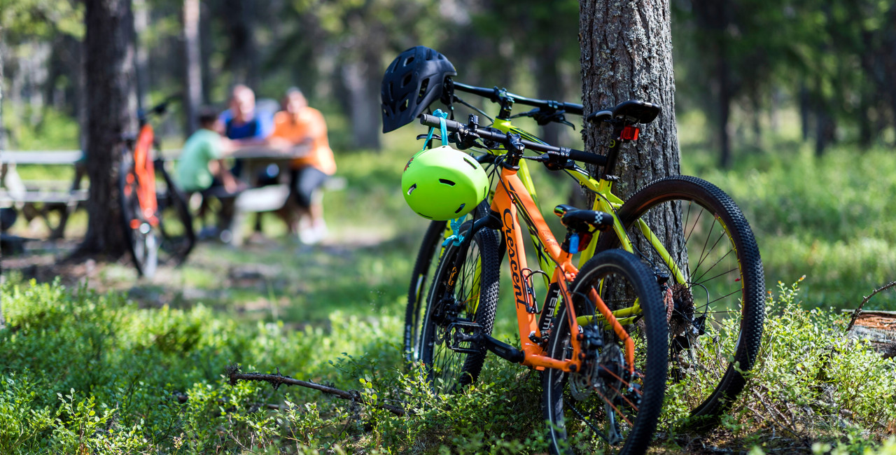 Two mountain bikes leaning against a tree in the forest, with people sitting at a picnic table in the background.