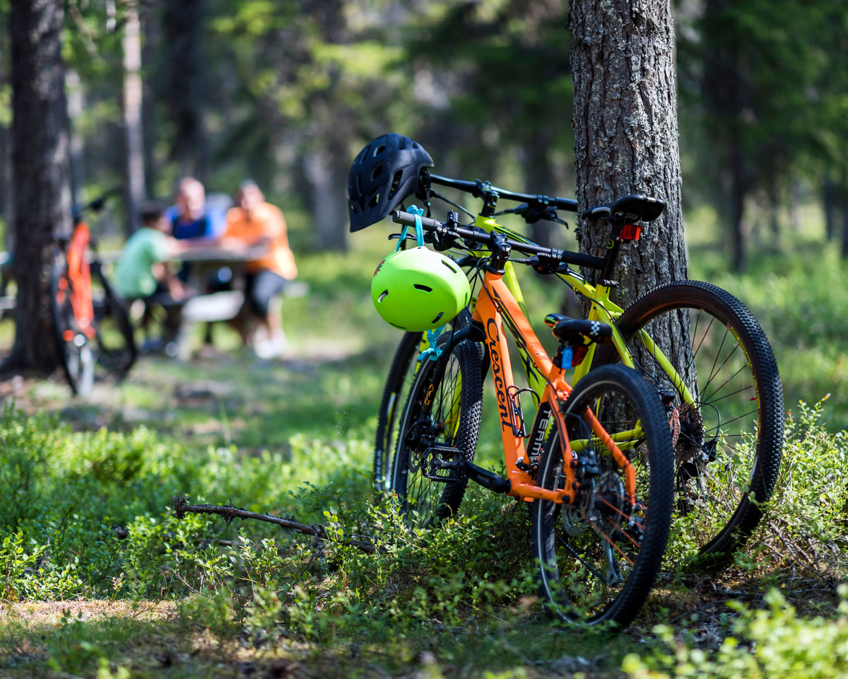 To mountainbikes læner sig op ad et træ i skoven, med personer ved et picnicbord i baggrunden.