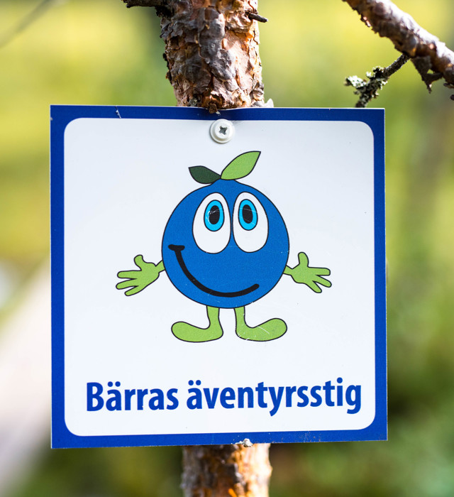 Bärras-äventyrsstig-Orsa-Grönklitt