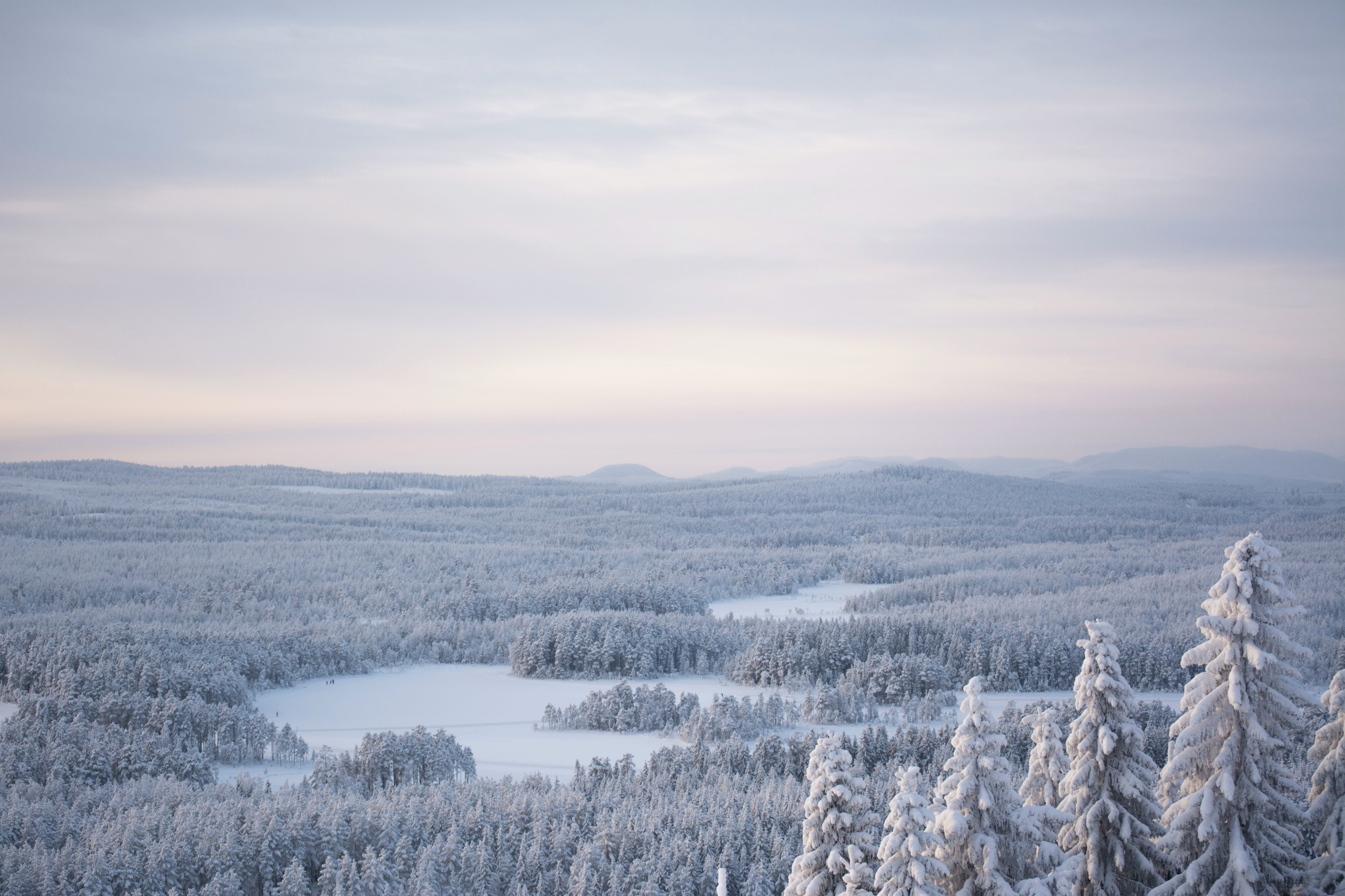 Udsigt over et snedækket skovlandskab i blødt vinterlys, med stille søer og bølgende bakker i baggrunden.