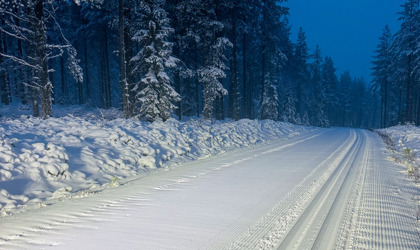 Preparerat längdskidspår som slingrar sig genom snötäckt barrskog i skymningsljus.
