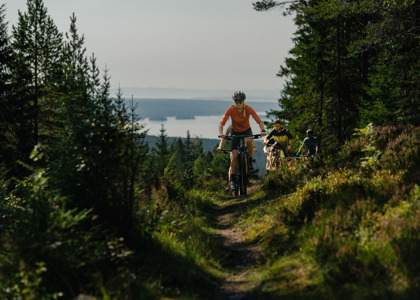 People mountain biking along a narrow forest trail with a lake view in the background.