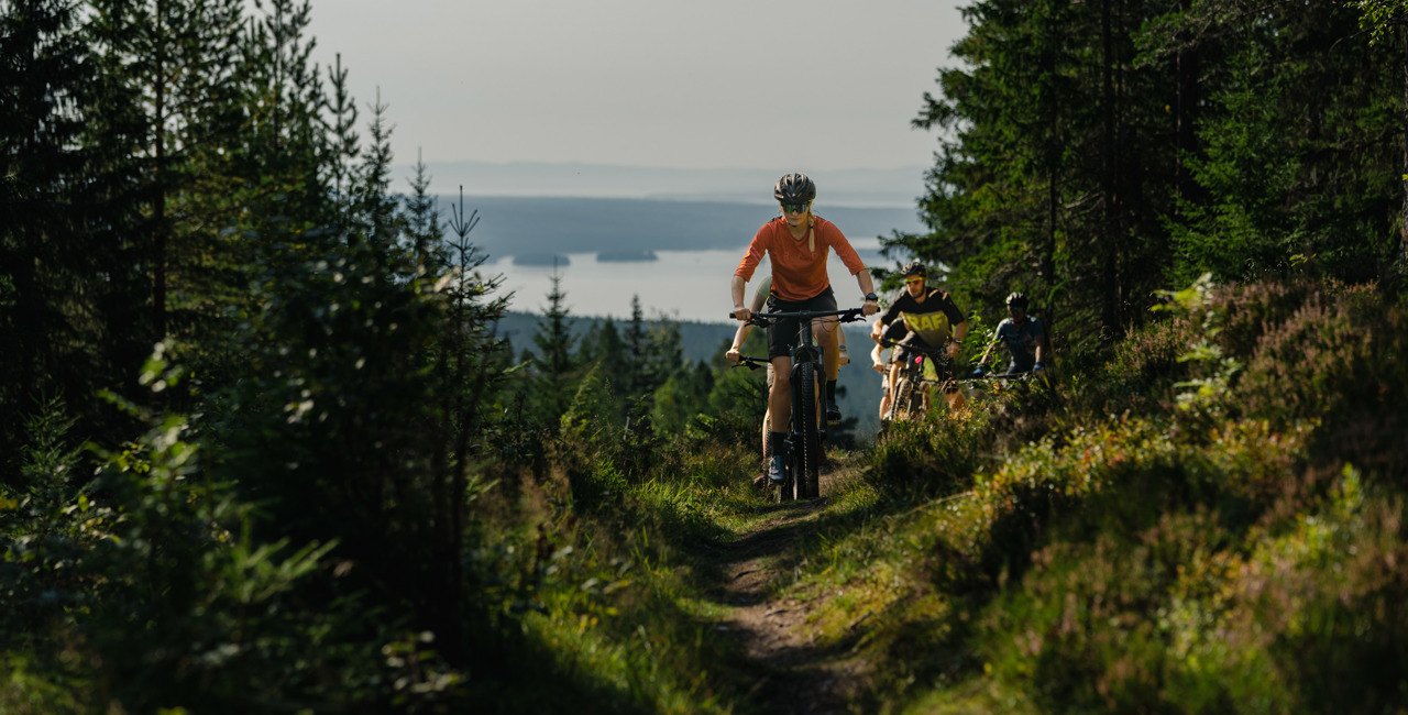 People mountain biking along a narrow forest trail with a lake view in the background.