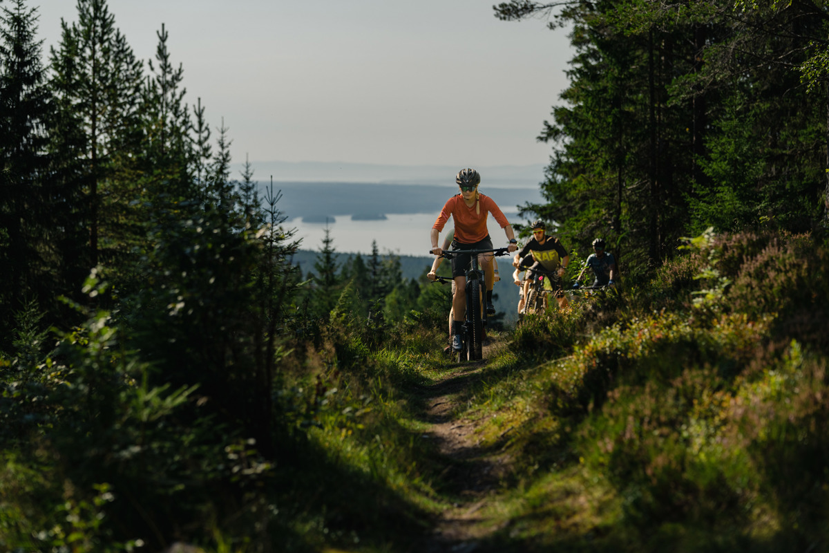 Personer cyklar mountainbike längs en smal skogsstig med utsikt över en sjö i bakgrunden.