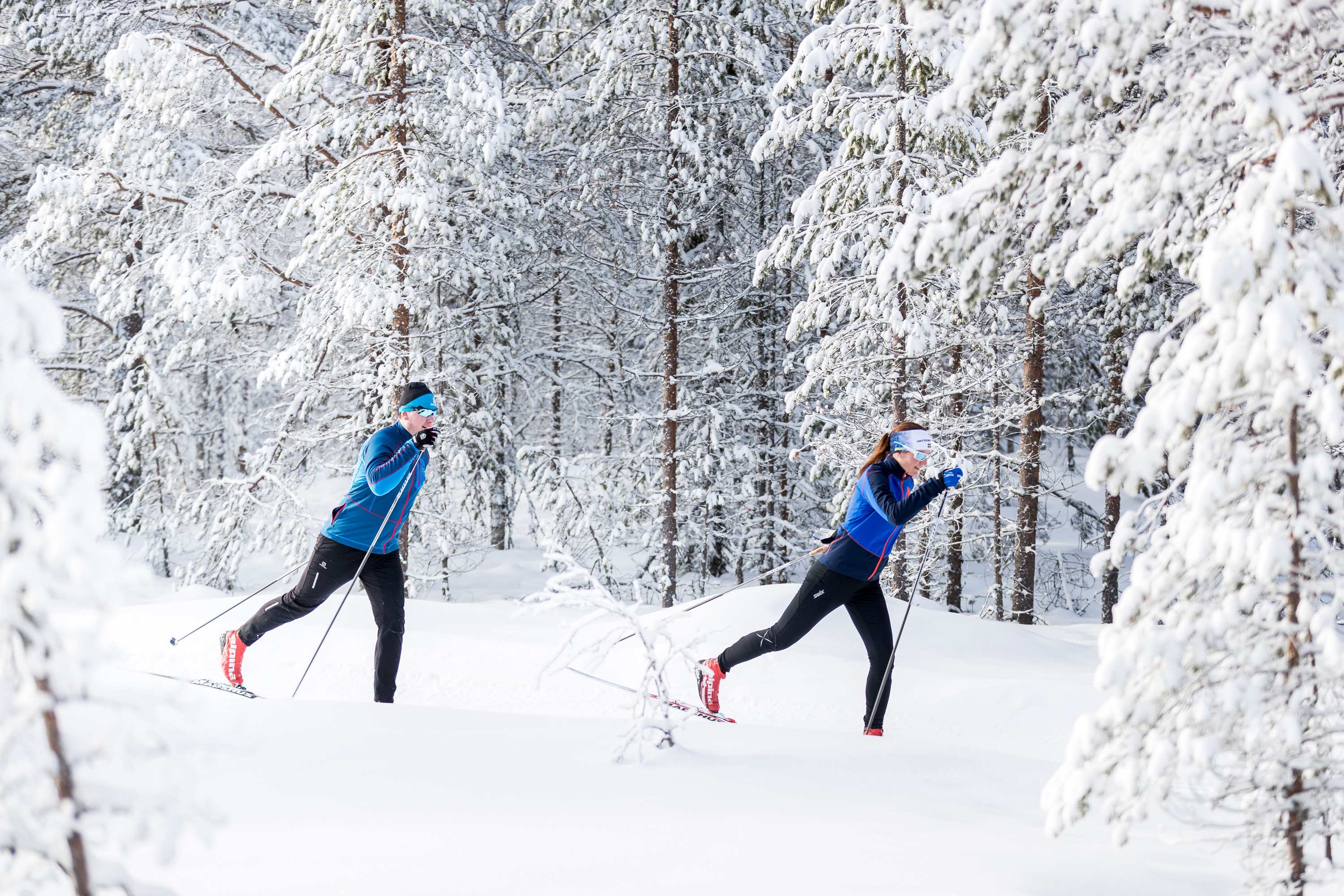 Two cross-country skiers glide through a snow-covered winter landscape surrounded by frosty trees.