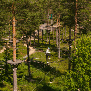 En person med blå hjälm och sele går på en hinderbana högt upp bland träden i en klätterpark. Bilden är tagen från ovan och visar flera plattformar och hinder bland tallar och grönska.