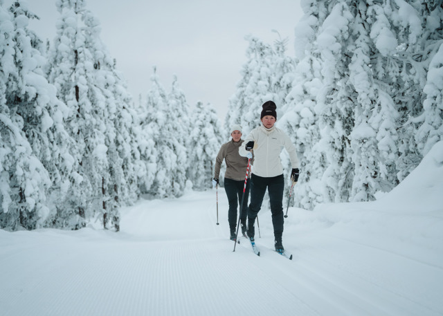 To personer står på langrend på et præpareret spor gennem en snedækket skov.