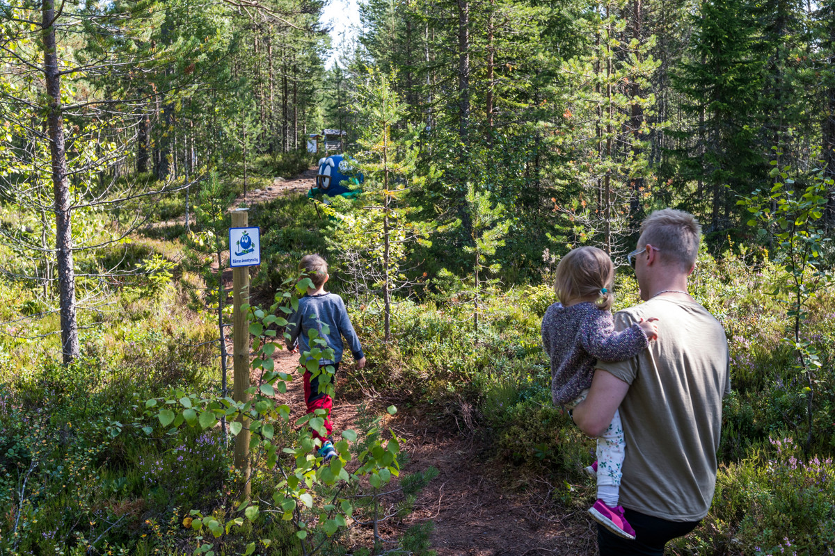 Children and adults walk after Bärra along a forest path.