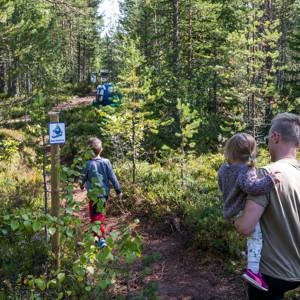 Children and adults walk after Bärra along a forest path.