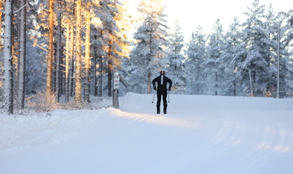 Längdskidåkare på ett nypreparerat skidspår i solbelyst vinterlandskap, omgiven av snötäckta träd.