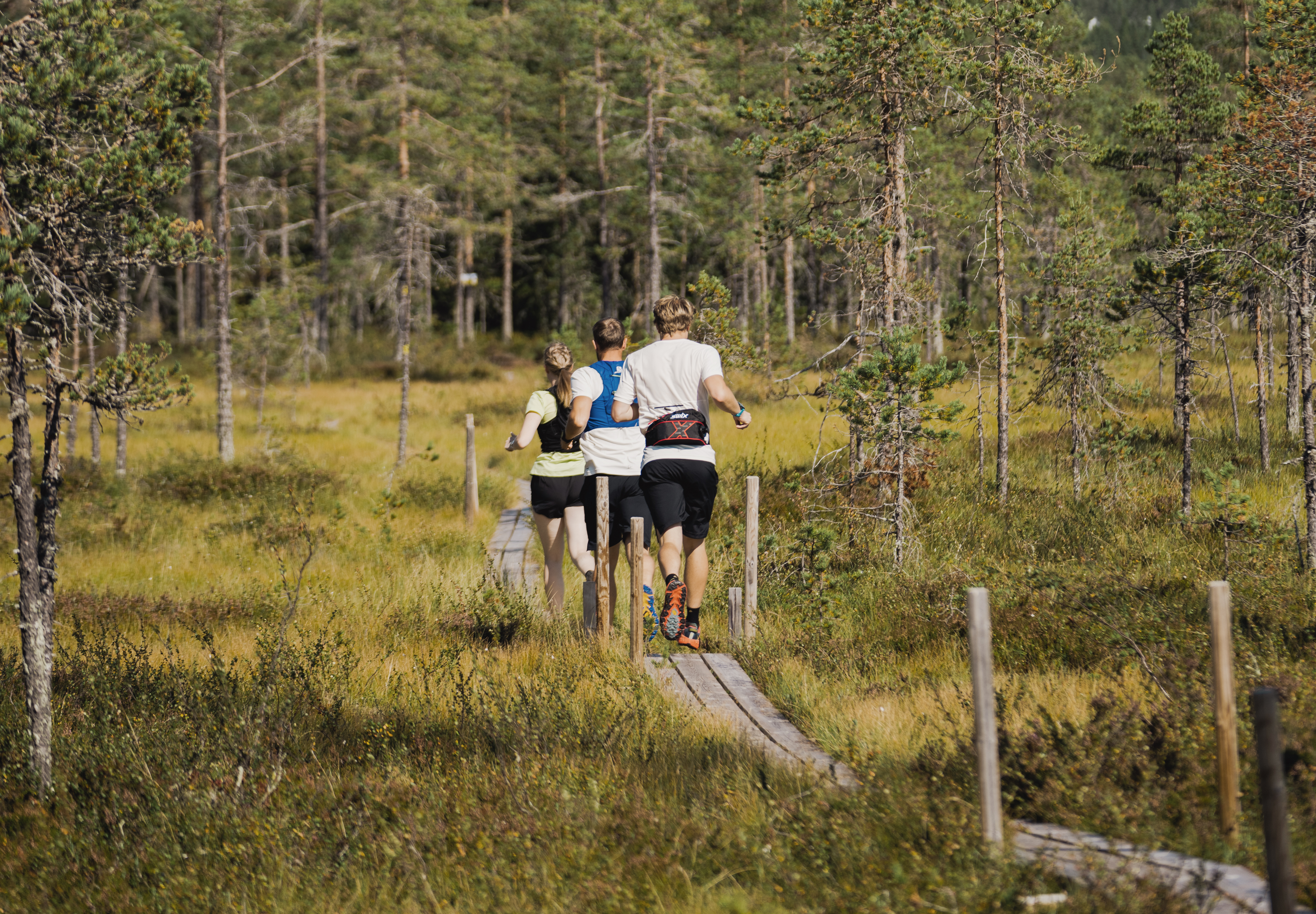Träning & hälsa – håll igång under sommaren här i Orsa Grönklitt