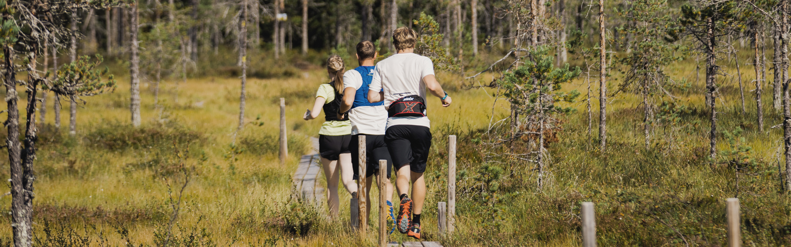 Tre personer springer på spång genom skog och myrmark