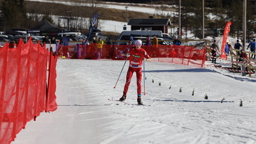 Längdskidåkare med nummerlapp åker i målområde avgränsat med röda nät.