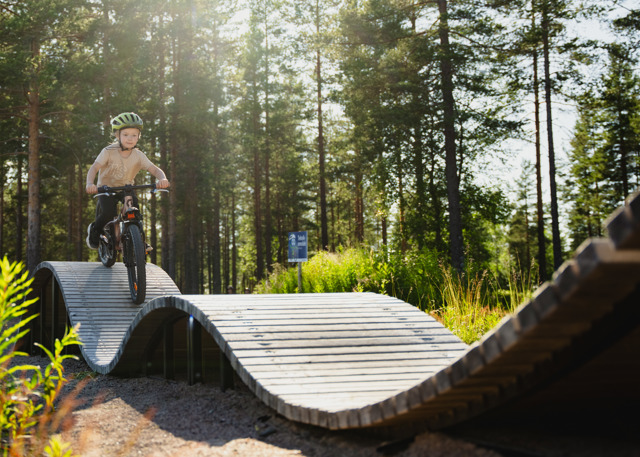 Ett barn cyklar över en vågformad träbro i en teknikbana mitt i en solbelyst skog.