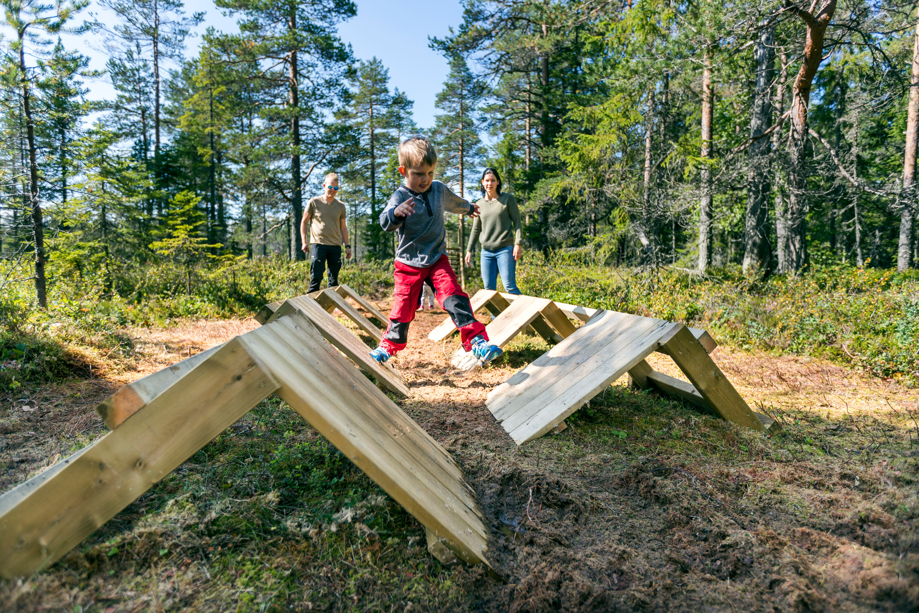 Barn balancerer på træforhindringer mens voksne ser på i skoven.