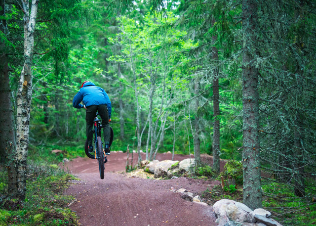 Cyklist i blå jacka som hoppar med mountainbike på skogsstig omgiven av grönskande träd.