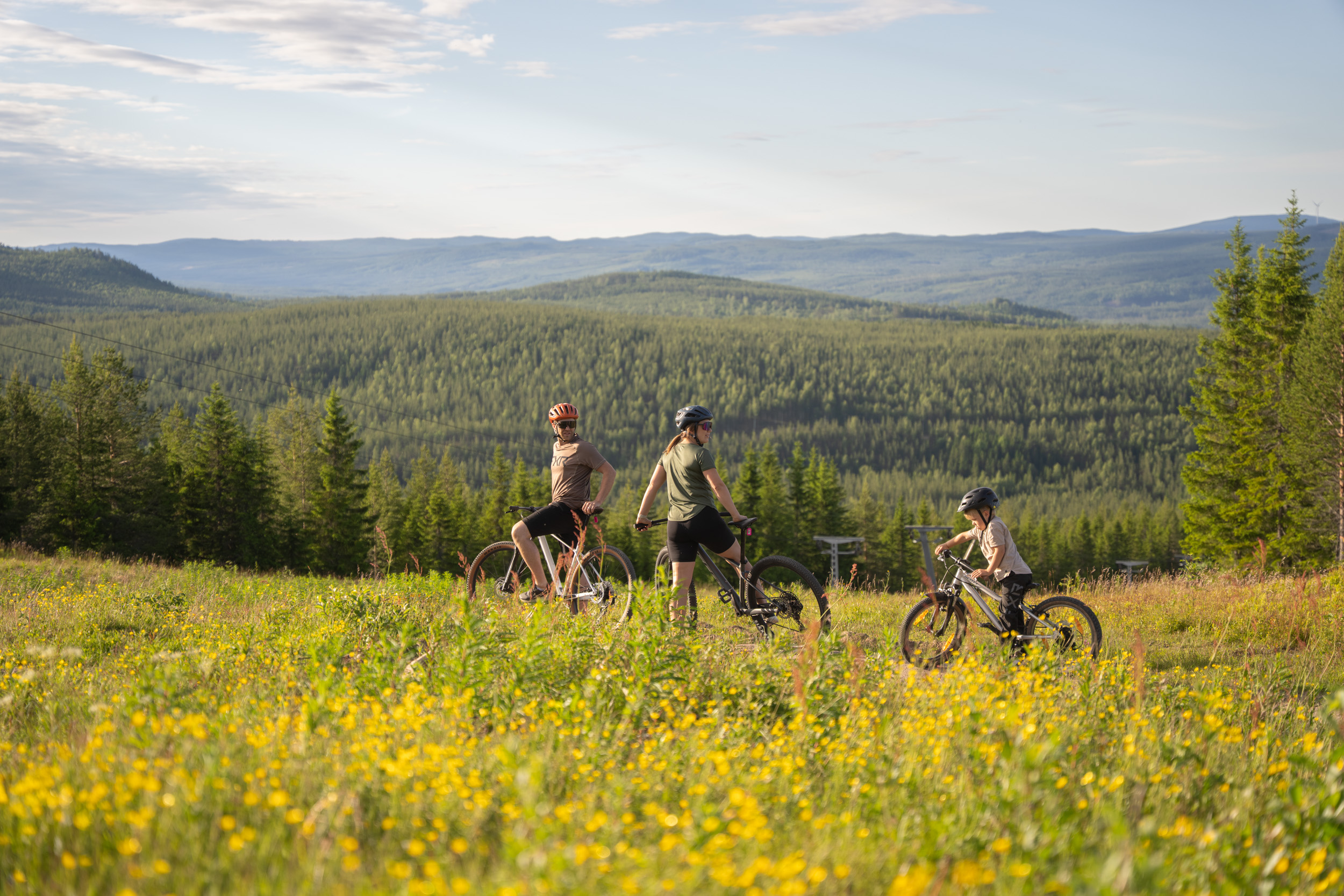 Tre personer cyklar i blommande äng med skogsklädda kullar i bakgrunden