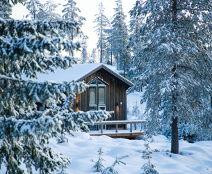 Trästuga i vinterskog med snötyngda granar runtom och mjukt morgonljus i bakgrunden.