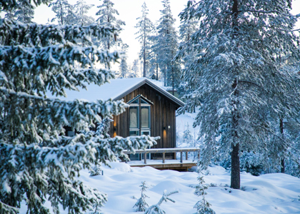 Træhytte i vinterlandskab omgivet af snedækkede grantræer og blødt morgenlys i baggrunden.