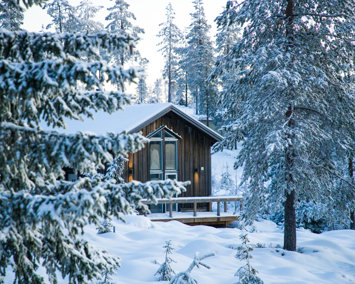 Trästuga i vinterskog med snötyngda granar runtom och mjukt morgonljus i bakgrunden.