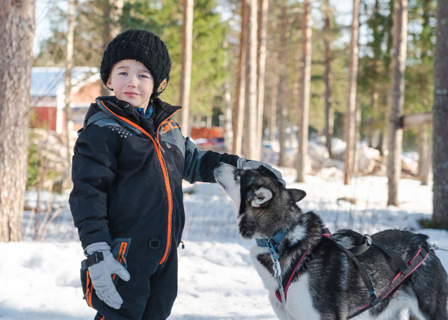 Child in winter clothes petting a husky in Orsa Grönklitt.