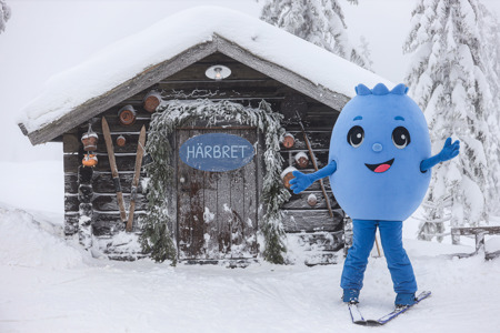 Blå maskot på skidor framför en snötäckt trästuga med skylten Härbret.