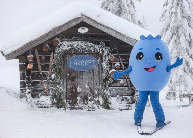Blå maskot på ski foran en snedækket træhytte med skiltet Härbret.