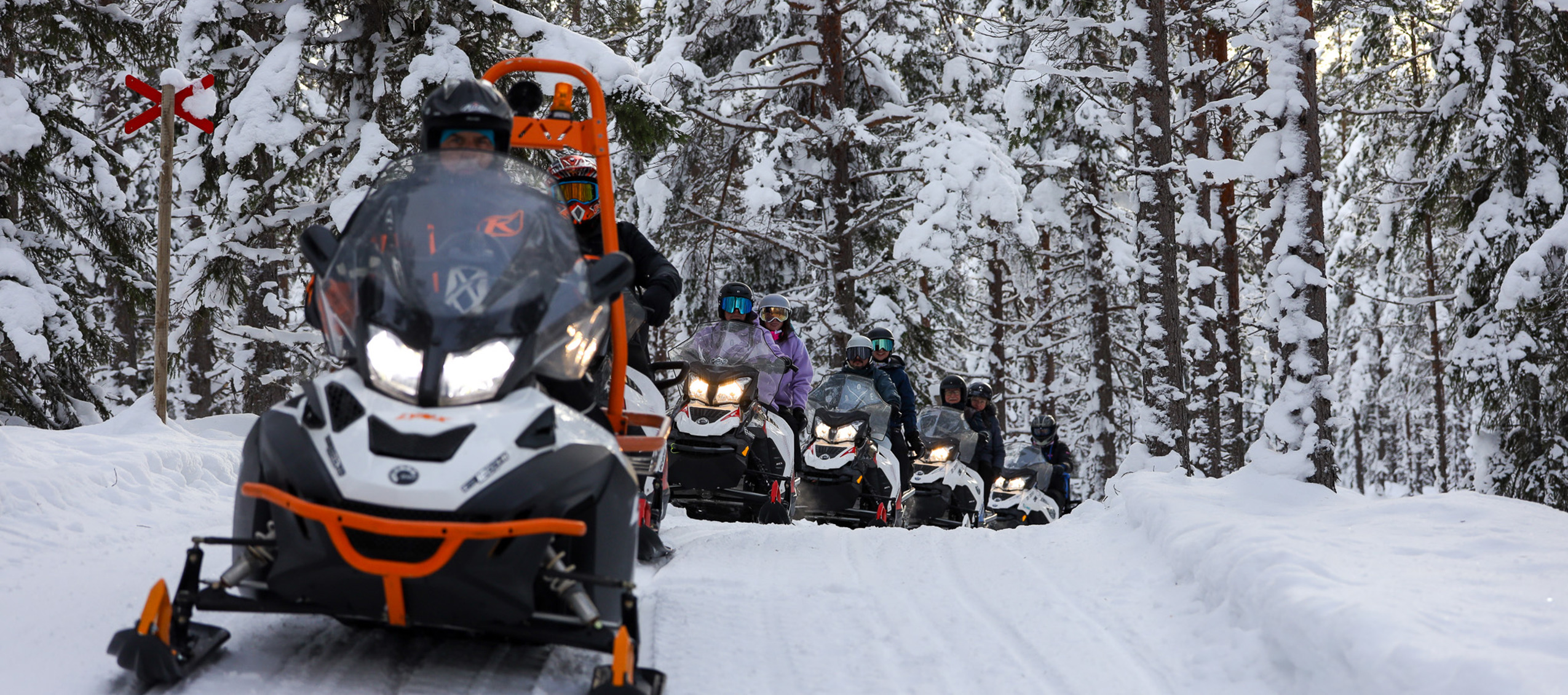 Snöskotrar kör på snötäckt led genom skog.