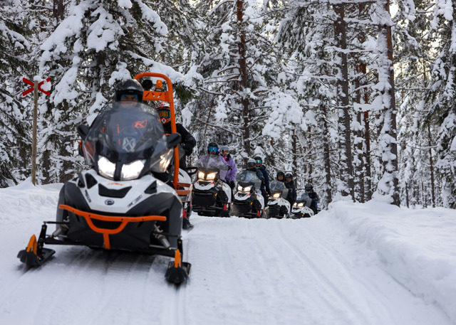Snøscootere kører på snedækket spor gennem skov.