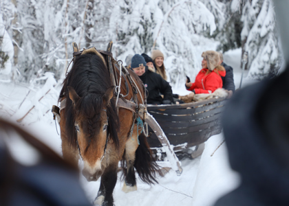 Hesteslæde med smilende passagerer kører gennem et vinterlandskab i Orsa Grönklitt.