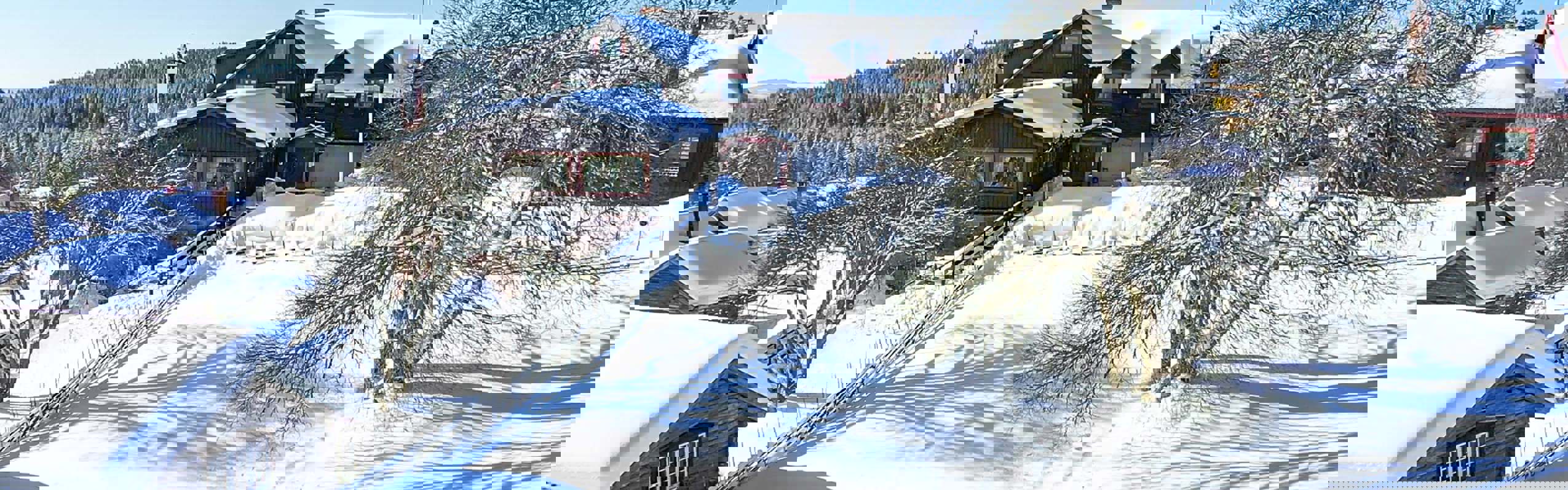 Vinterudsigt over Fryksås Hotel & Gestgifveri med sneklædte træhuse og omkringliggende skov i solskin.