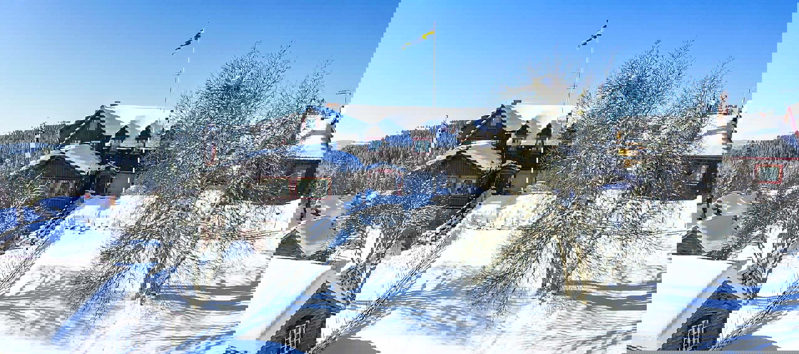 Winter view of Fryksås Hotel & Inn with snow-covered wooden houses and surrounding forest in sunlight.