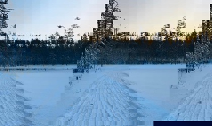 Preparerad snöled över öppen yta med skog i bakgrunden och maskin i förgrunden.