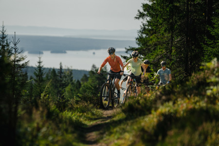 Cyklande familj på skogsstig med utsikt över sjö och skogsklädda höjder i Orsa Grönklitt.