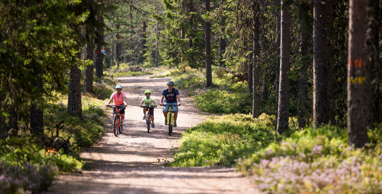 En familj med två barn och en vuxen cyklar tillsammans längs en bred skogsstig omgiven av tät granskog och sommargrönska.