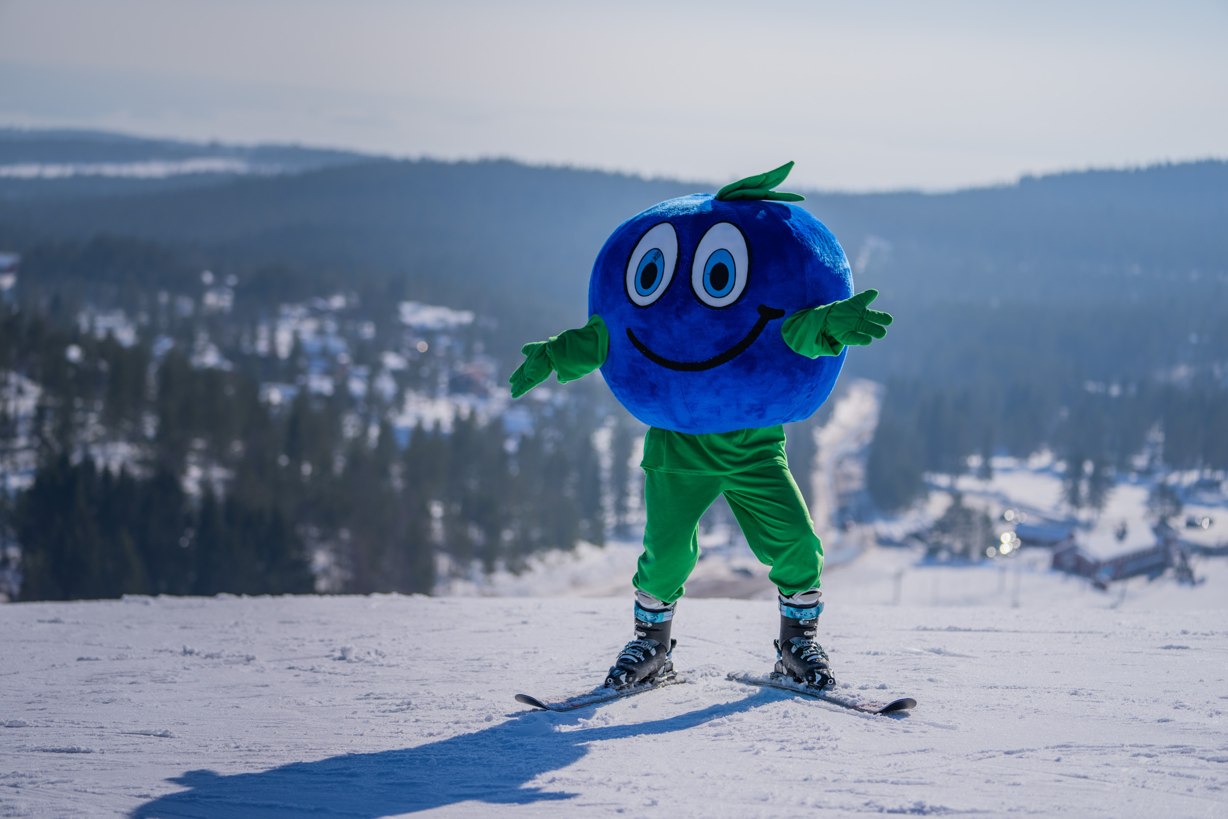 The Bärra mascot stands on skis at the top of a snowy slope with a wide view of the winter landscape.