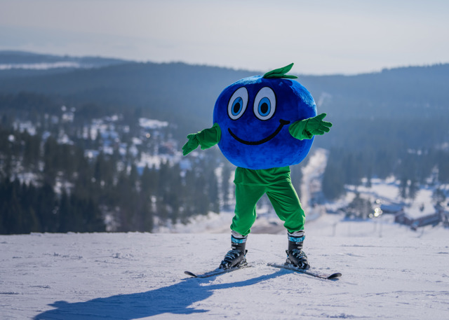 Maskoten Bärra står med skidor på toppen av en snötäckt backe med vidsträckt utsikt över vinterlandskapet.