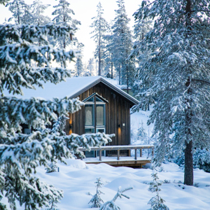 Trästuga i vinterskog, delvis dold bakom snötäckta granar.