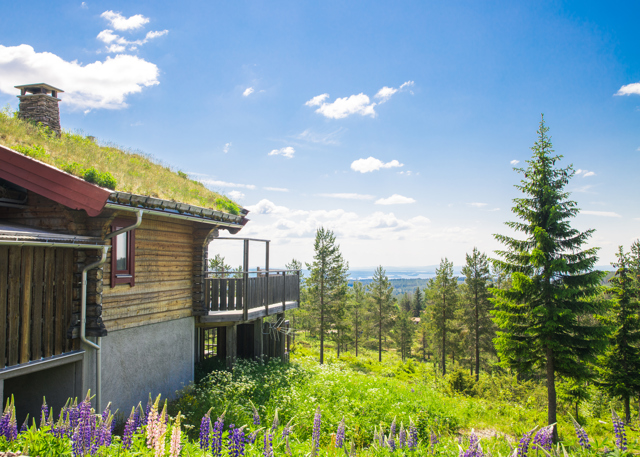 Trähus med grönt tak i fjällmiljö med utsikt över skog och sommarlandskap.