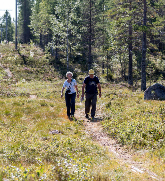 28I6437 Stor (108749)