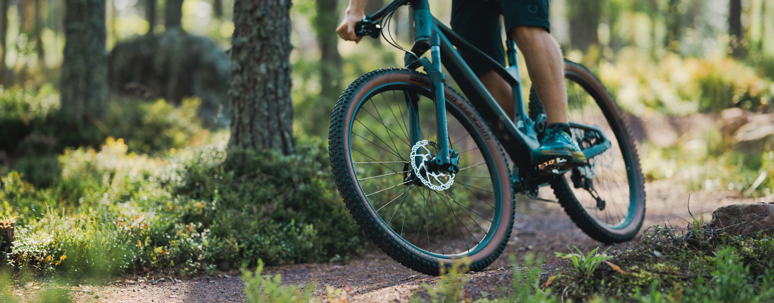 Närbild på en cyklist som svänger på en smal skogsstig omgiven av grönska i sommarljus